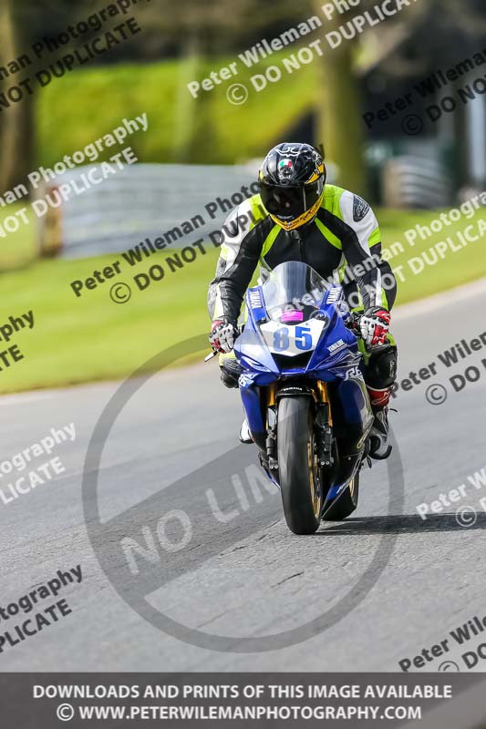 Oulton Park 21st March 2020;PJ Motorsport Photography 2020;anglesey;brands hatch;cadwell park;croft;donington park;enduro digital images;event digital images;eventdigitalimages;mallory;no limits;oulton park;peter wileman photography;racing digital images;silverstone;snetterton;trackday digital images;trackday photos;vmcc banbury run;welsh 2 day enduro